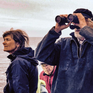 Delad glädje vid horisonten